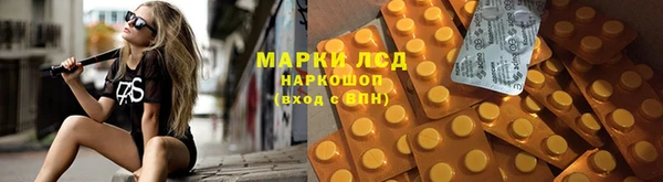 spice Кинешма