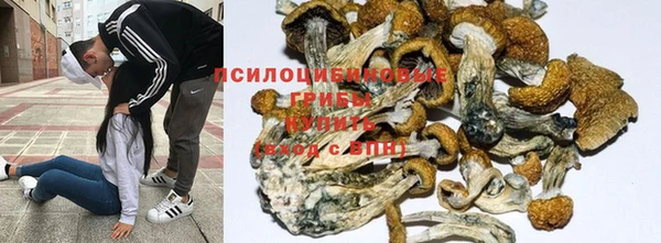 мдма Кодинск