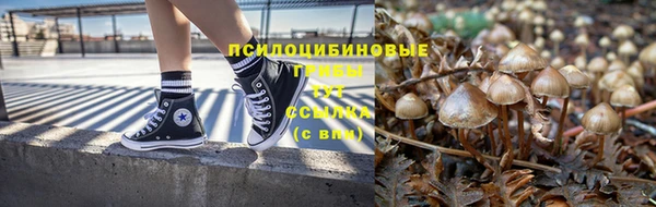 амф Киреевск