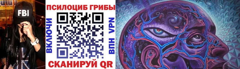 Галлюциногенные грибы Psilocybe даркнет сайт Котово
