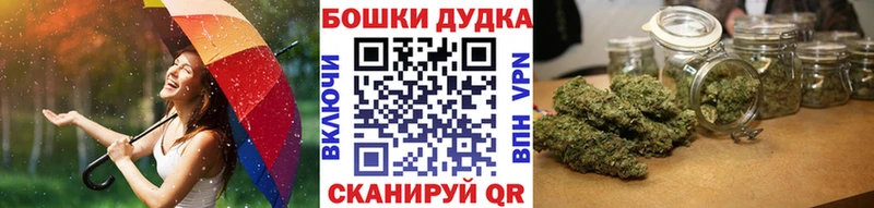 купить наркоту  Котово  Шишки марихуана сатива 